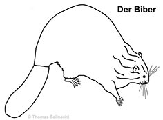 Bild vergrößern!