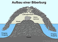 Bild vergrößern!