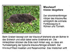 Bild vergrößern!
