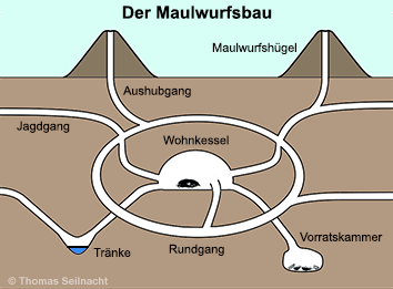 Bild vergrößern!