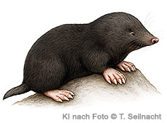 Bild vergr&ouml;&szlig;ern!