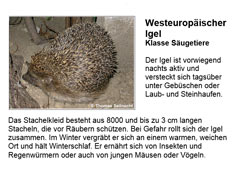 Öffnen!