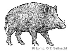 Bild vergr&ouml;&szlig;ern!