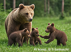 Bild vergr&ouml;&szlig;ern!