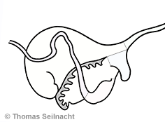 Bild vergr&ouml;&szlig;ern!