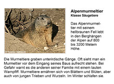 Öffnen!