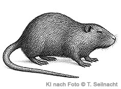 Bild vergr&ouml;&szlig;ern!