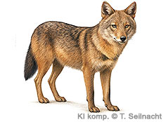 Bild vergr&ouml;&szlig;ern!