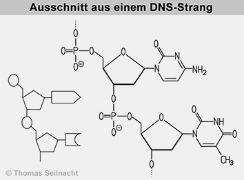 Bild vergrößern!