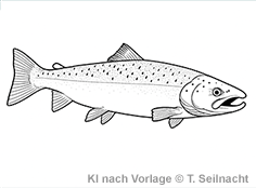 Bild vergr&ouml;&szlig;ern!