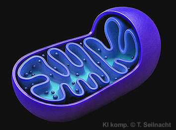 Bild vergr&ouml;&szlig;ern!