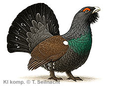 Bild vergr&ouml;&szlig;ern!