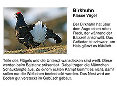 Bild vergrößern!